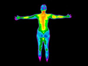 Full body thermography Full body thermography