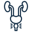 Prostate Ozone