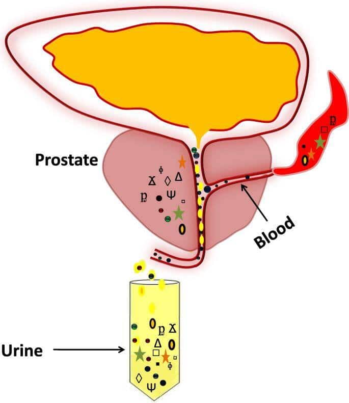 Medical-IV-Ozone